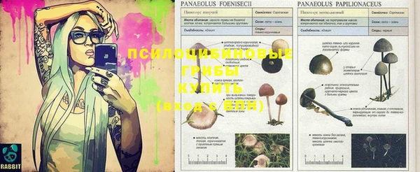 mix Пестово